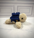 Blueberry Turtle