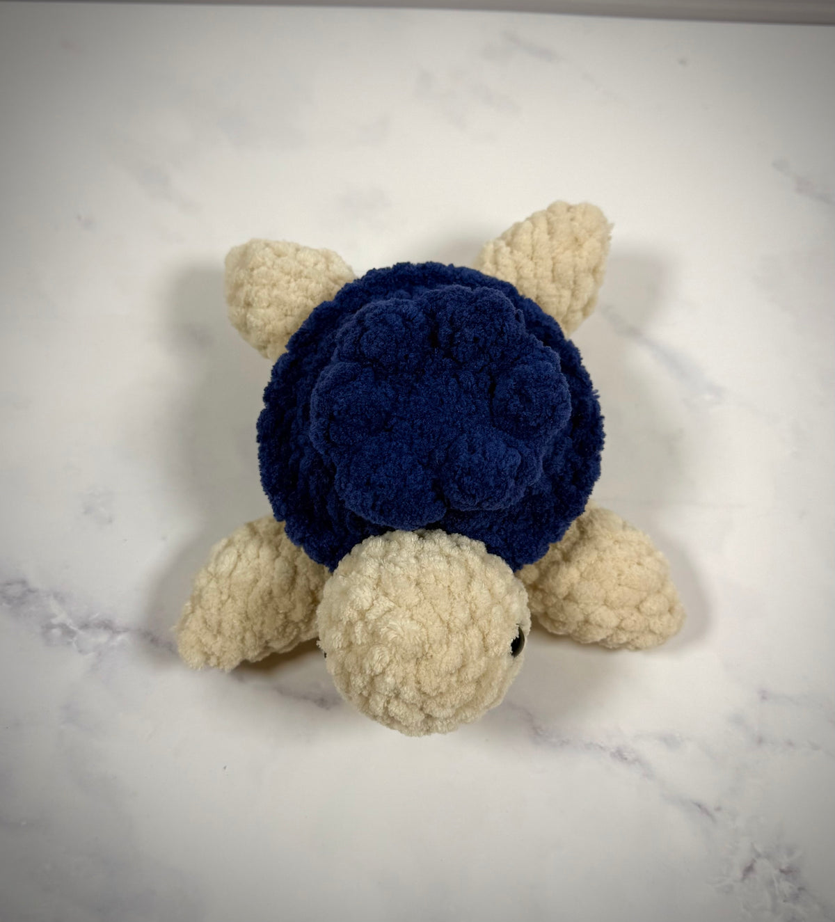 Blueberry Turtle